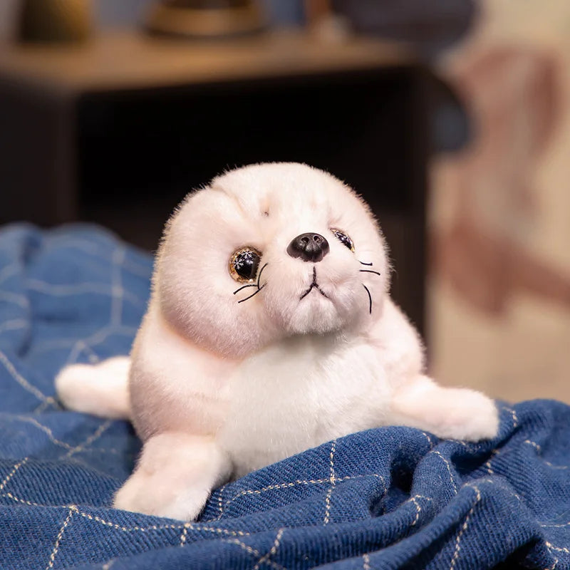 Cute Sea Lion Plush Toy – 20/23cm