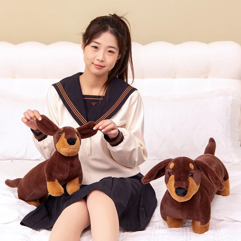 Dachshund Plush Body Pillow – 60/80cm